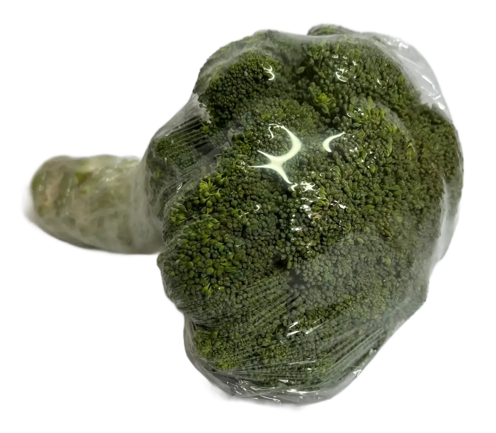 Brokuł