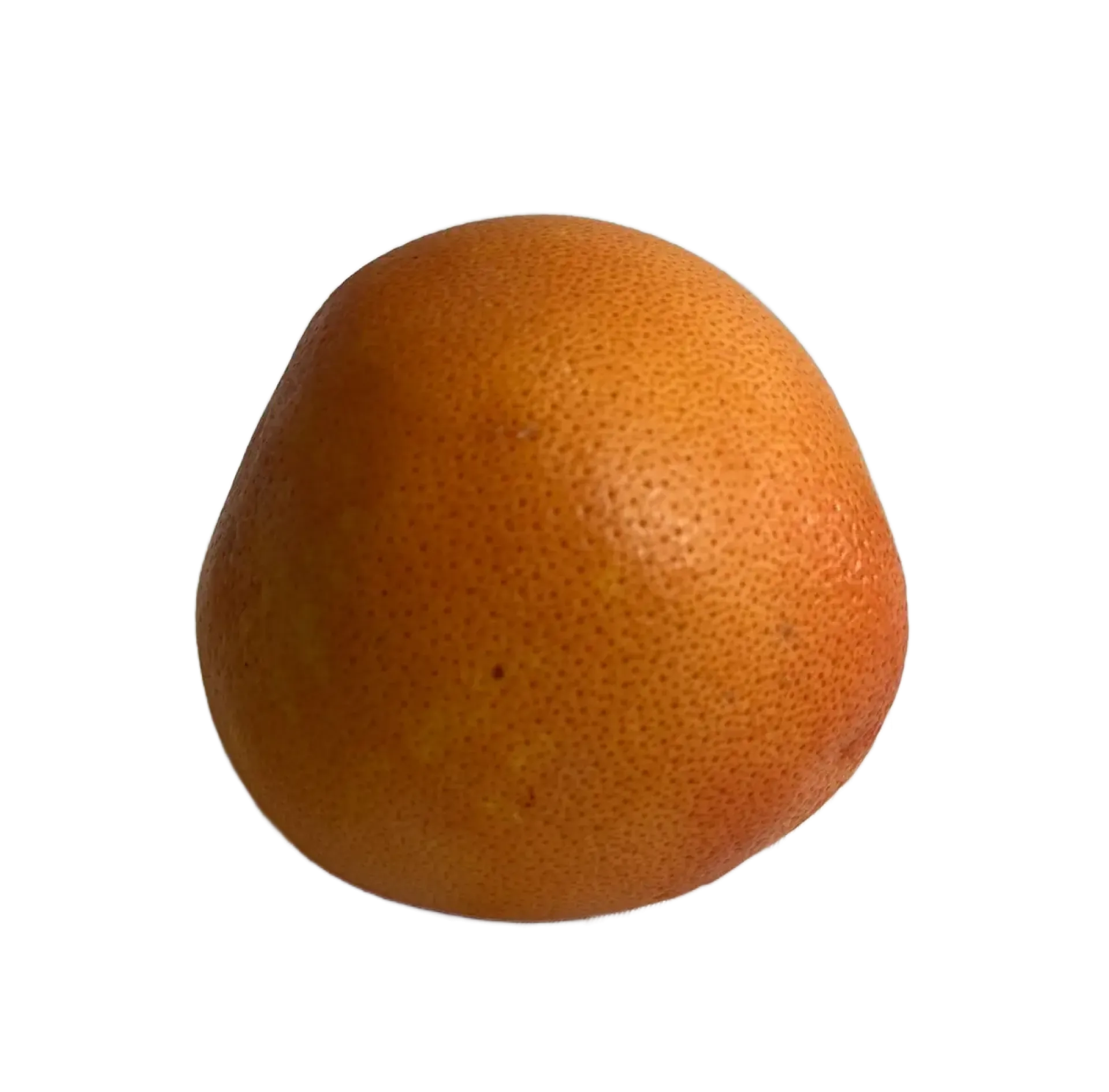 Grejpfrut