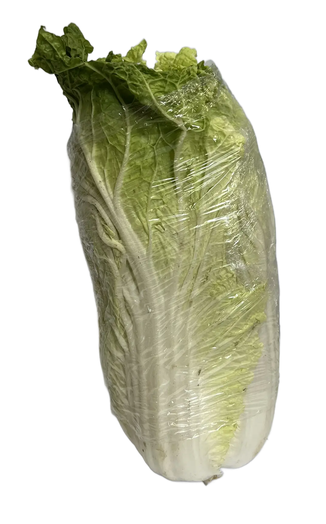Kapusta pekińska