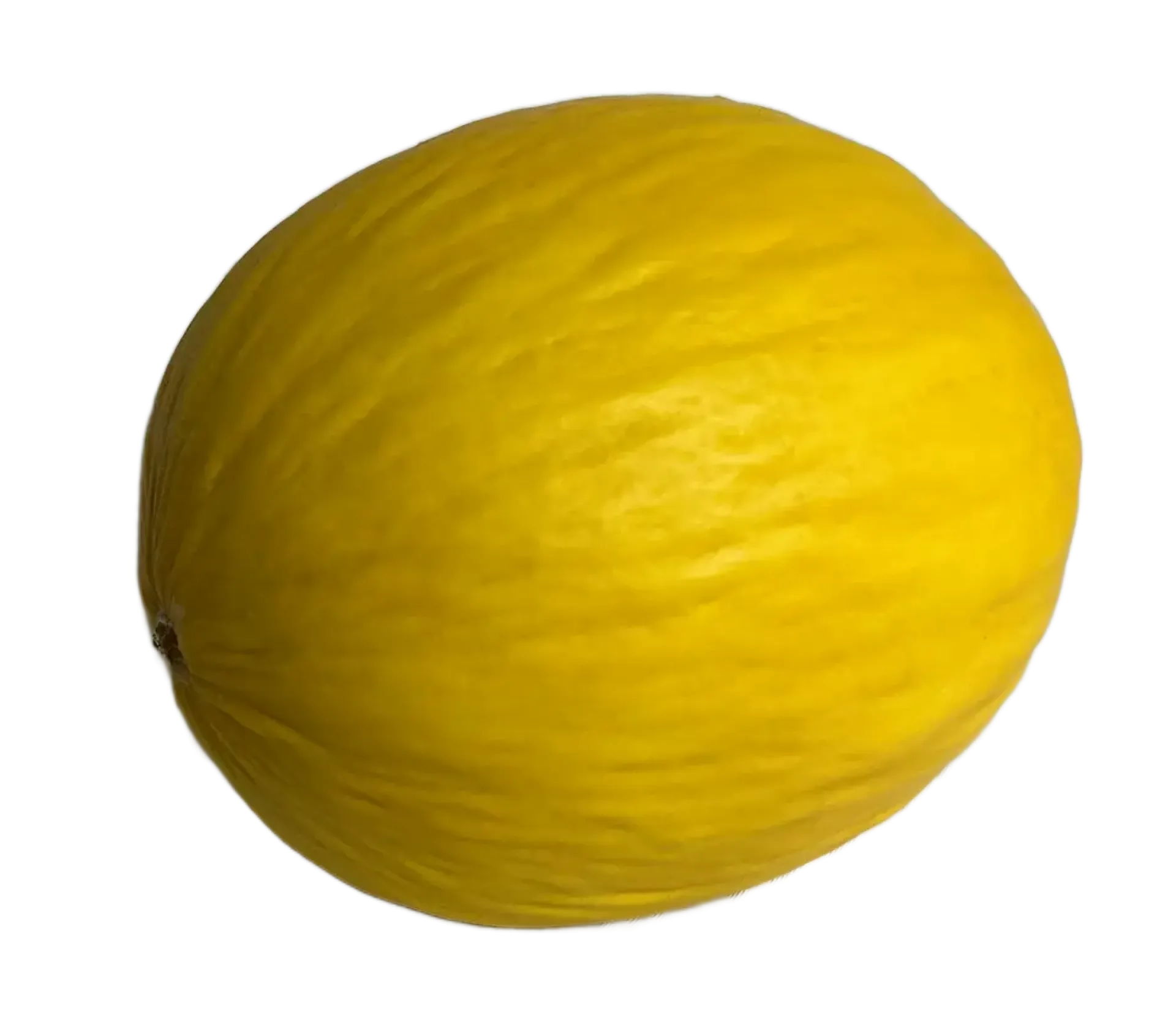 Melon