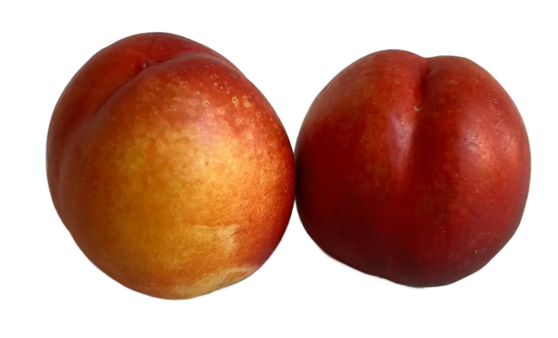 Nektarynki