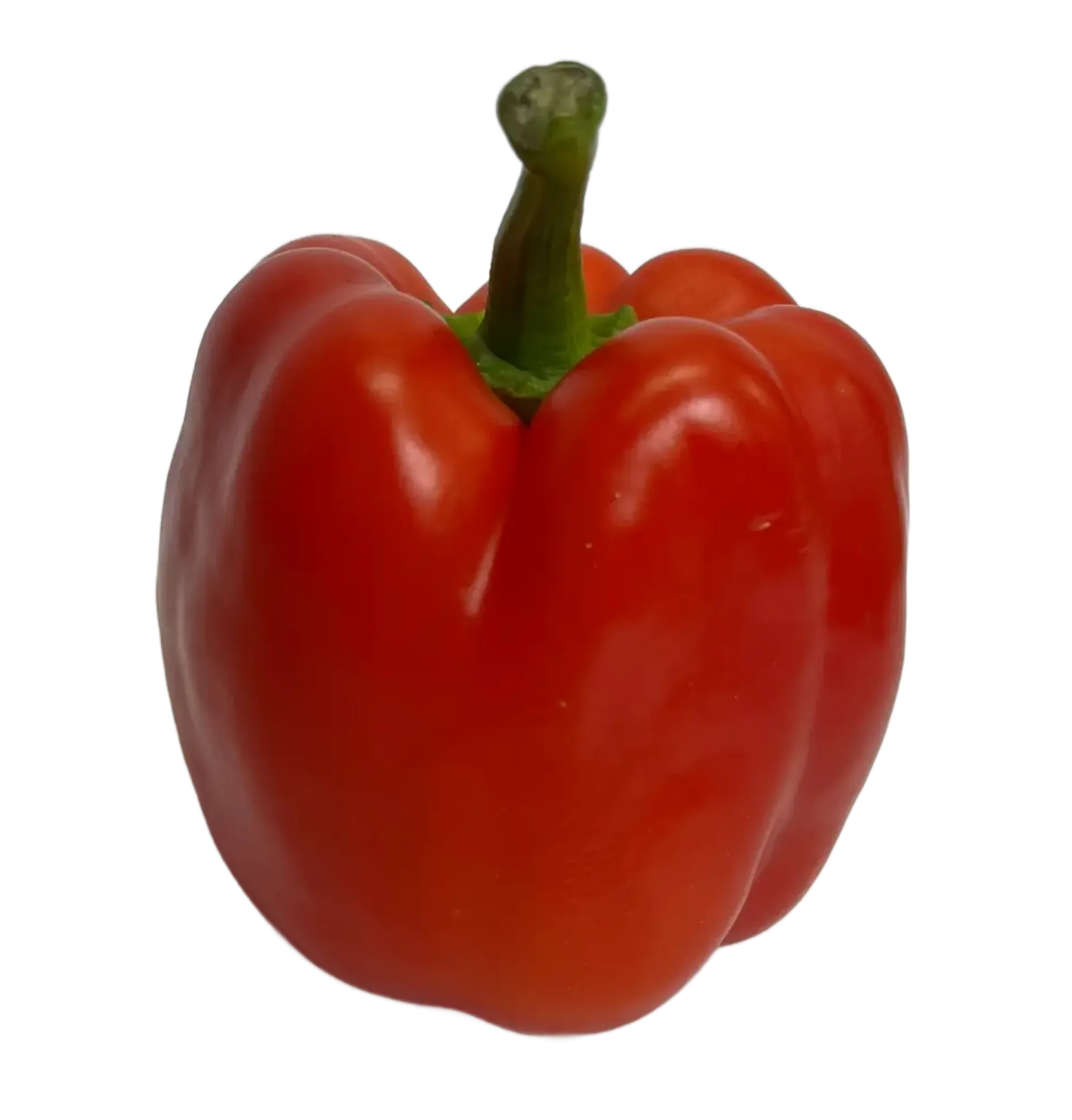 Papryka czerwona