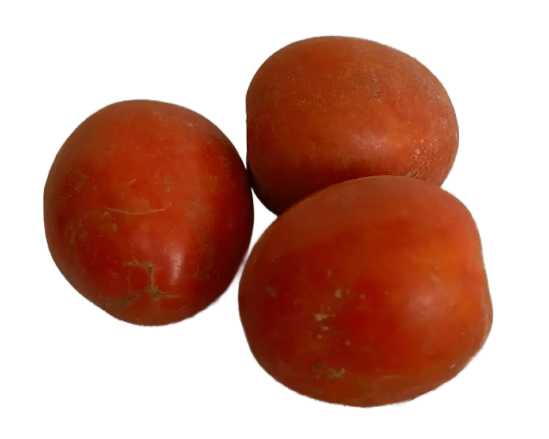 Pomidor jajko