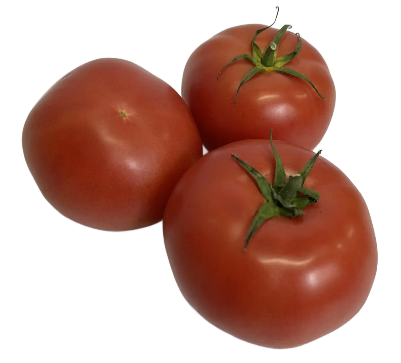 Pomidor malimowy