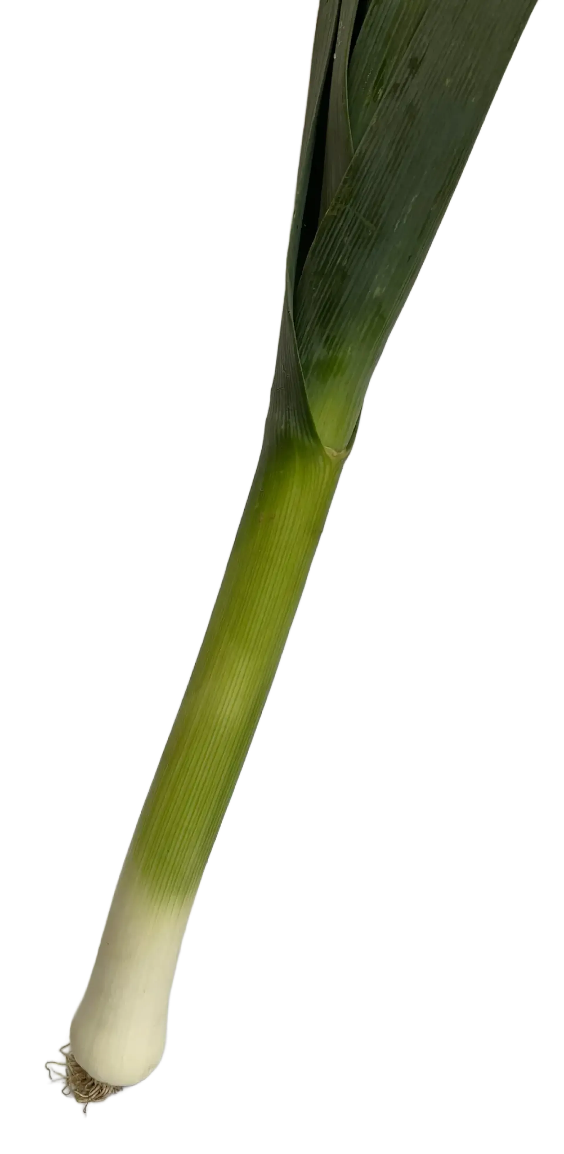 Por