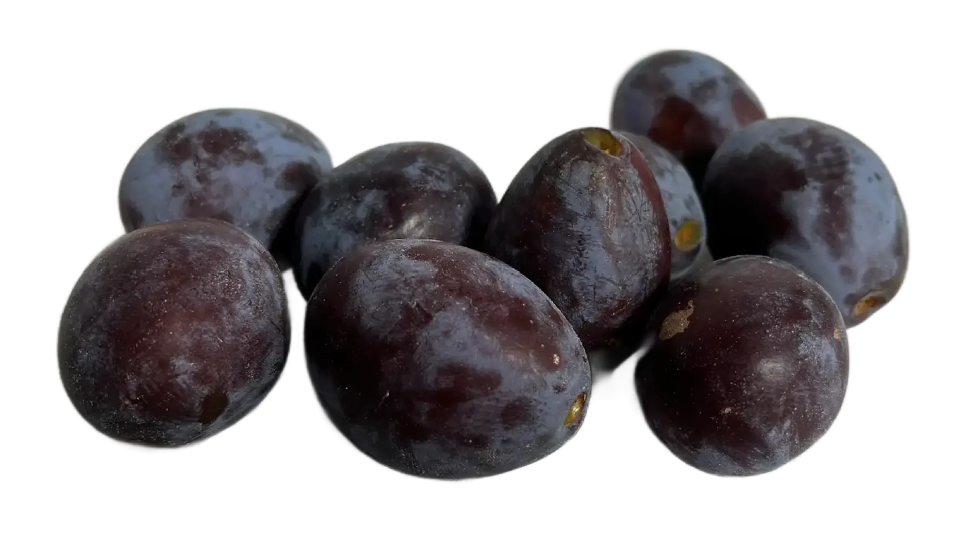 Śliwka węgierka