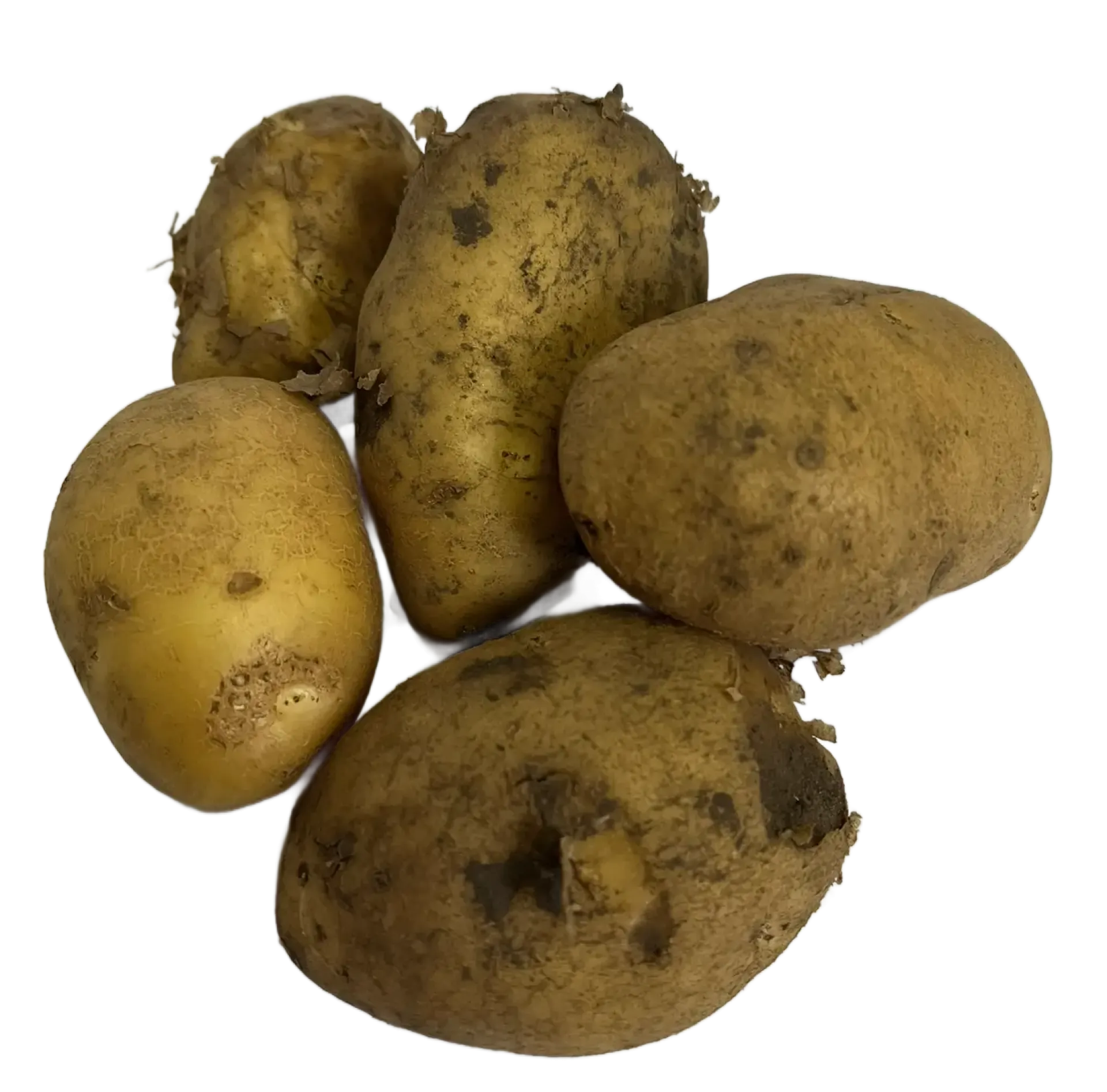 Ziemniak irys