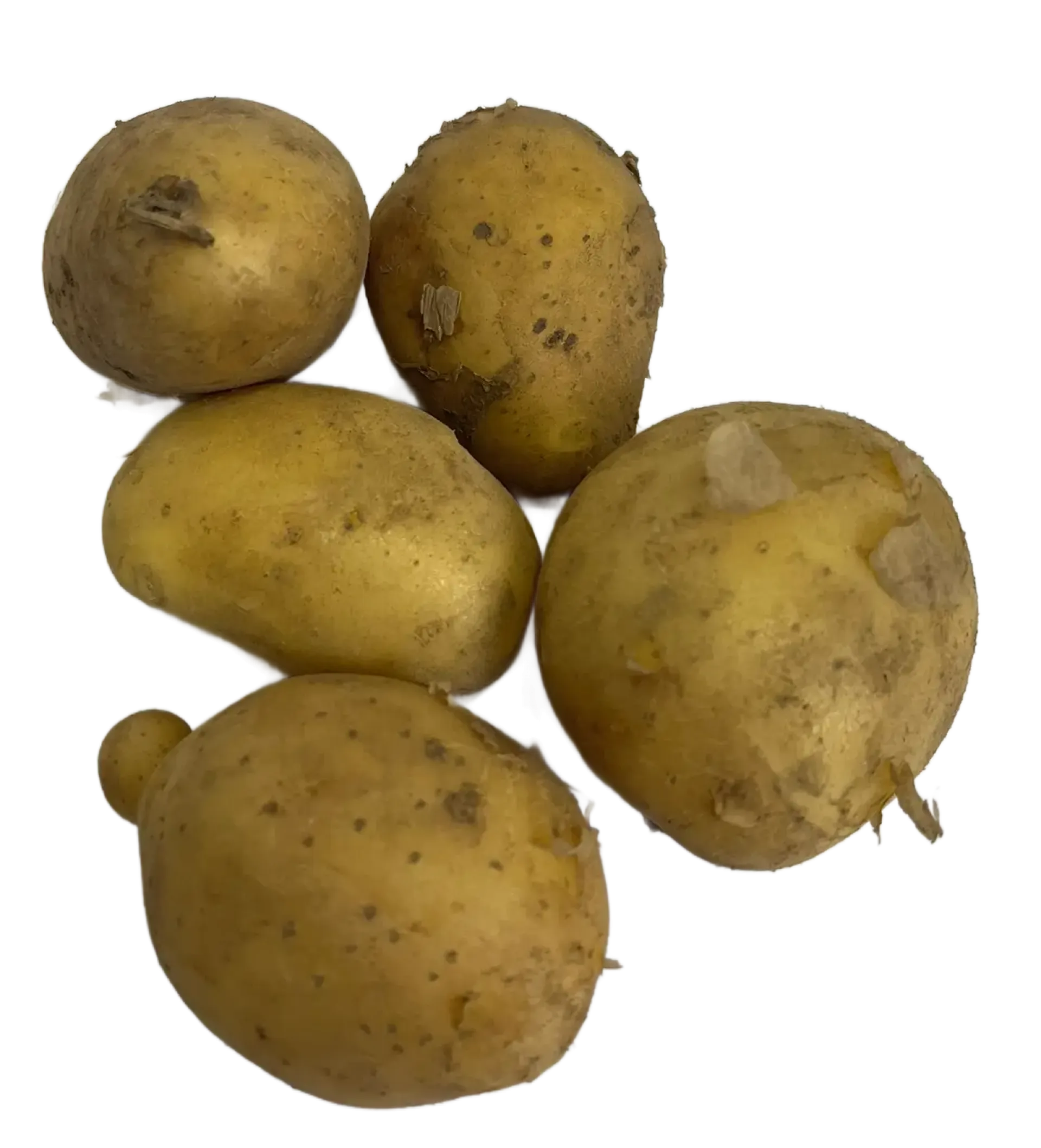 Ziemniak melodia