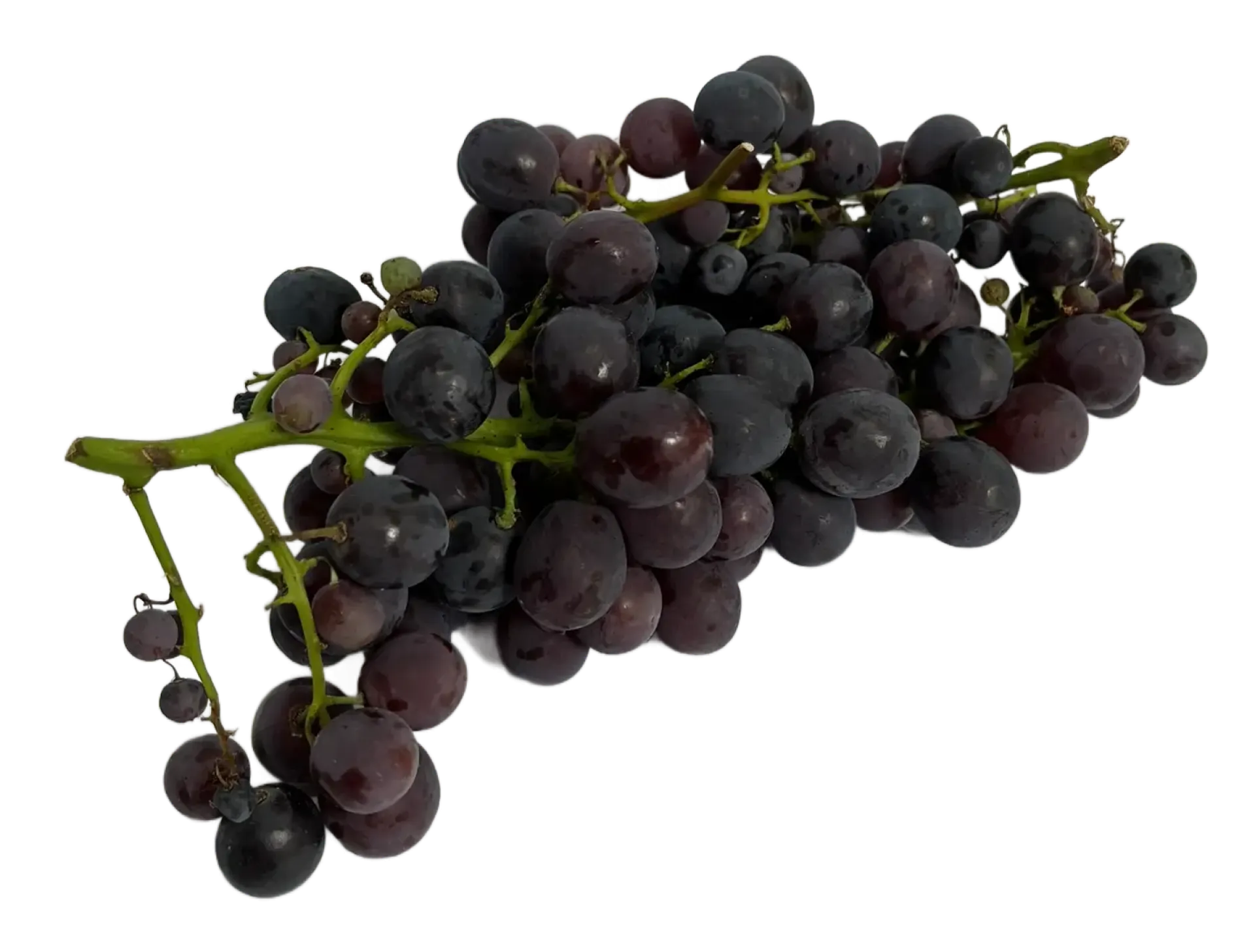 Winogrono ciemne