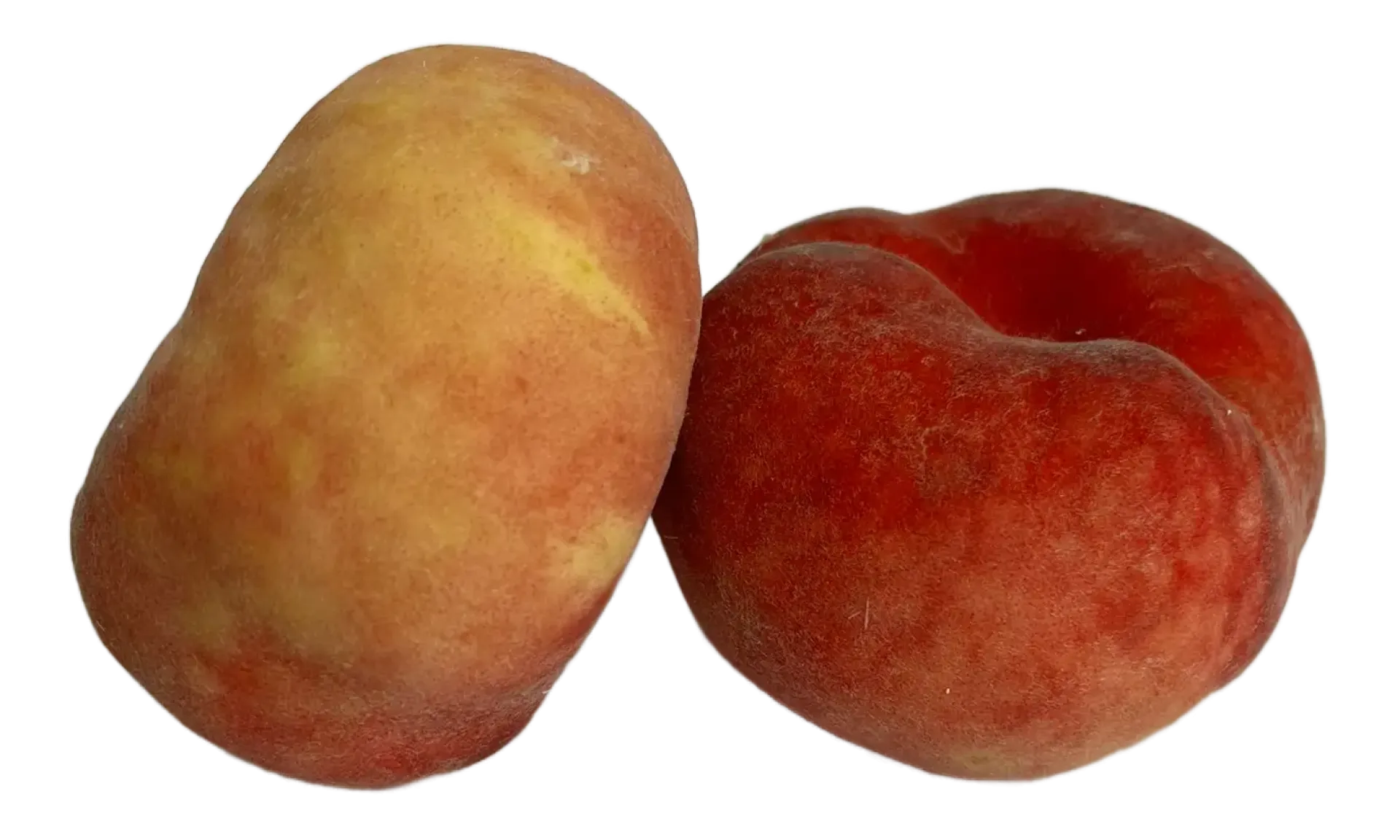 Brzoskwinia saturn