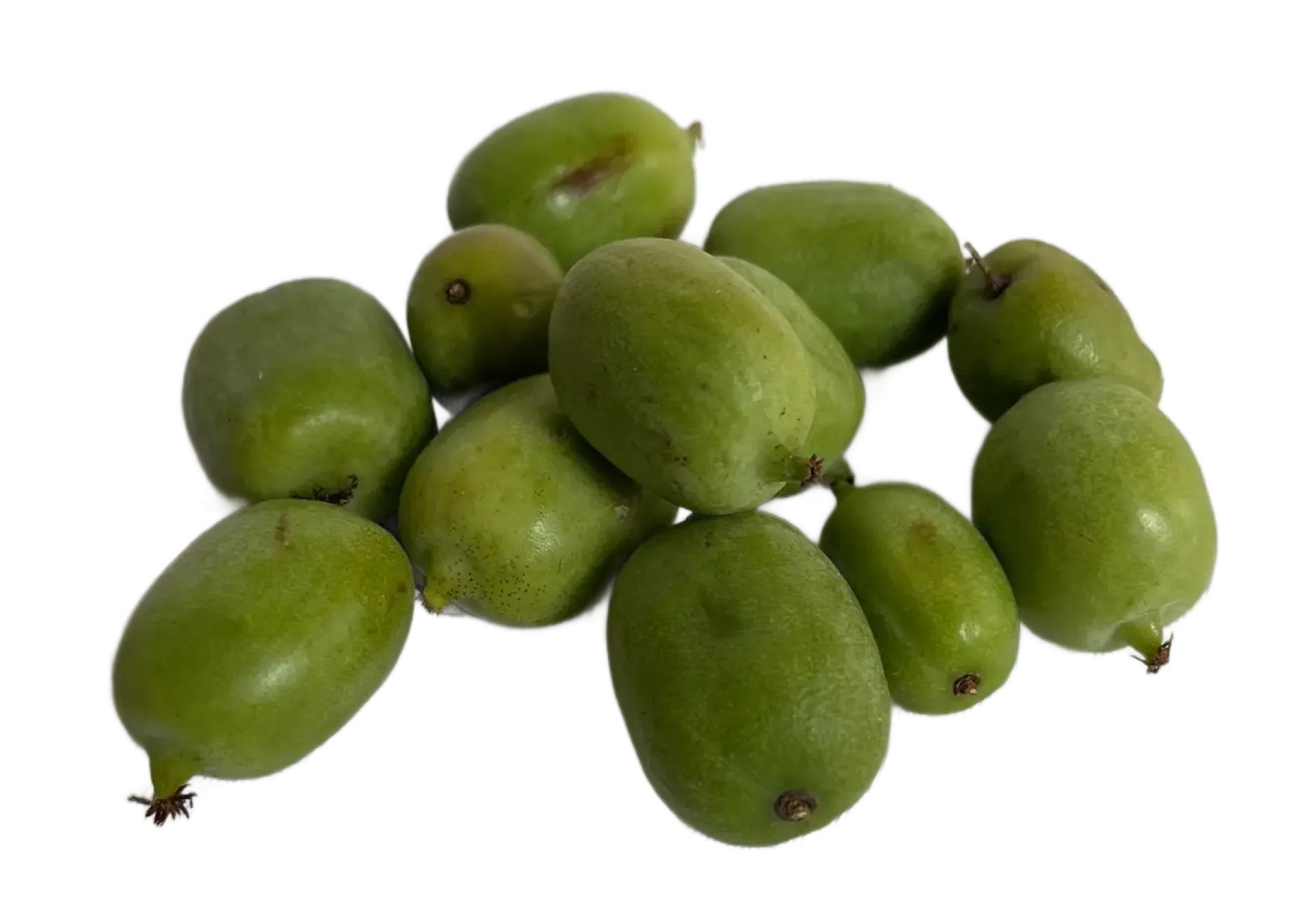 Kiwi mini