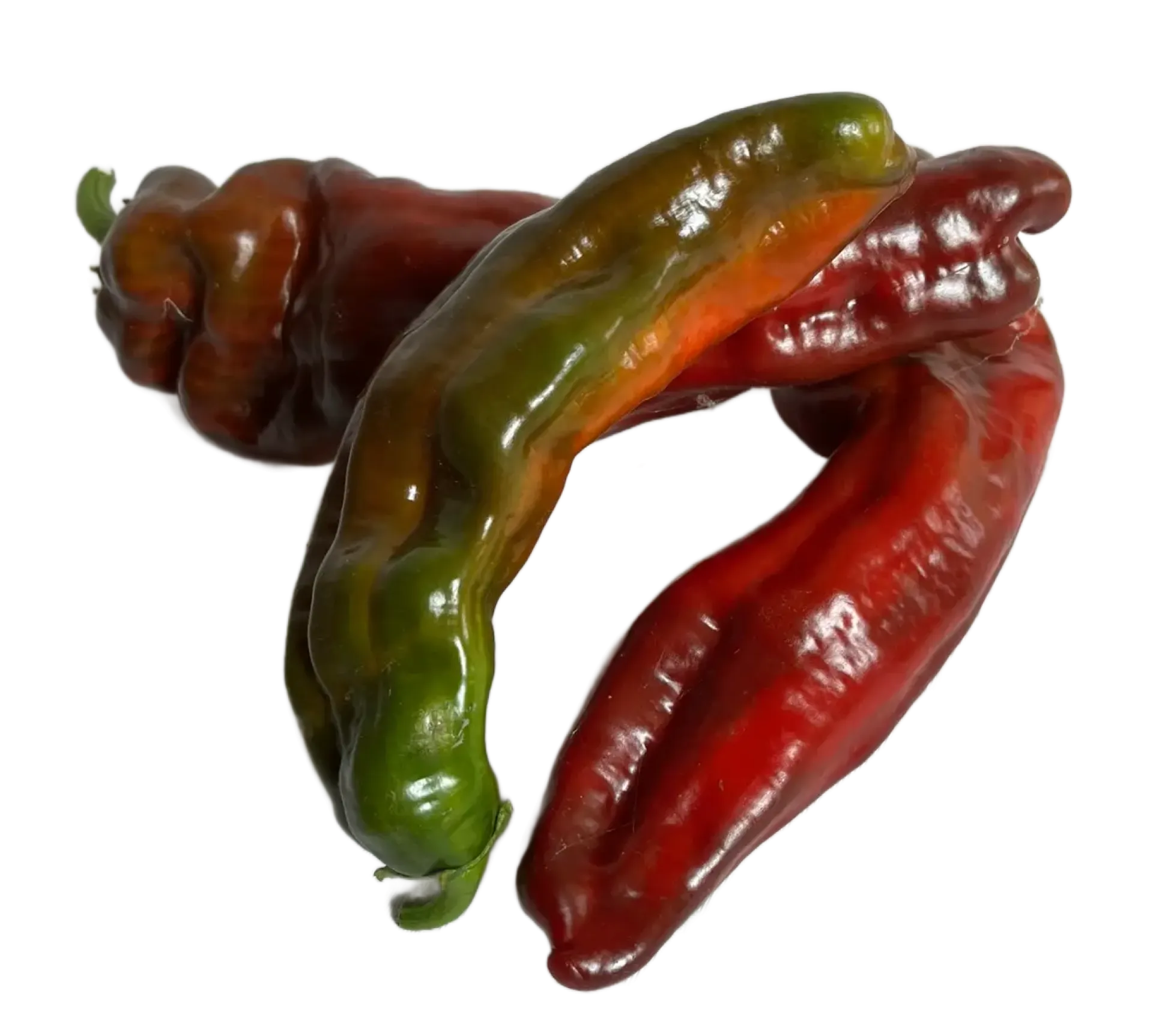 Papryka długa