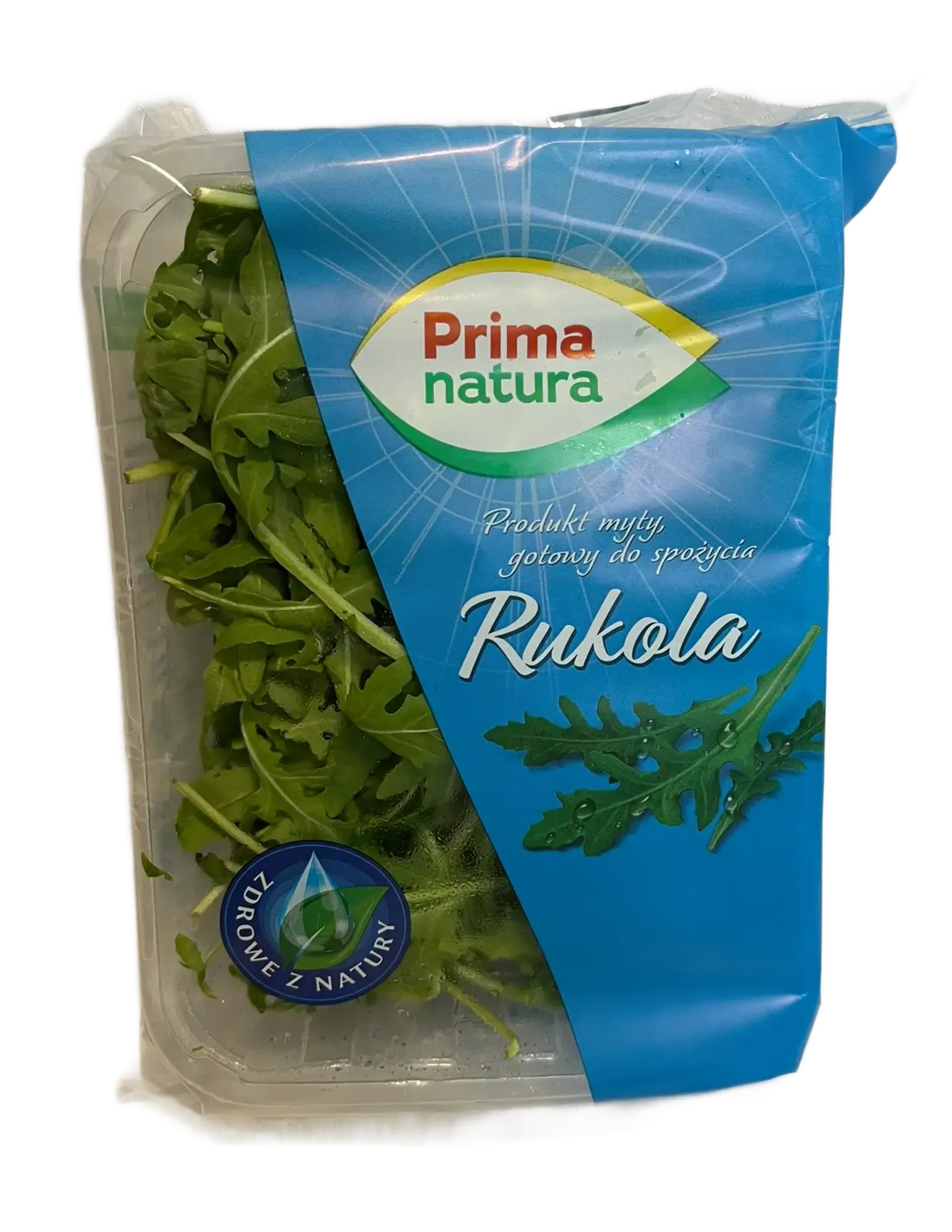Rukola