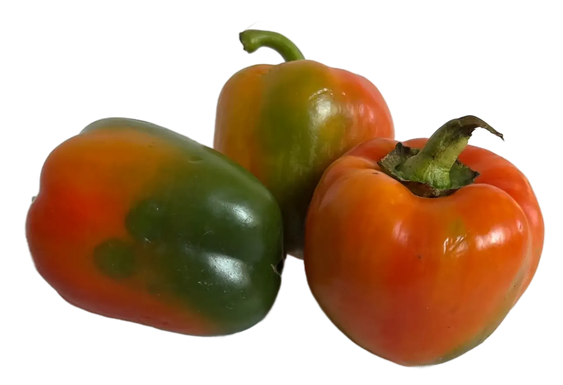Papryka mix