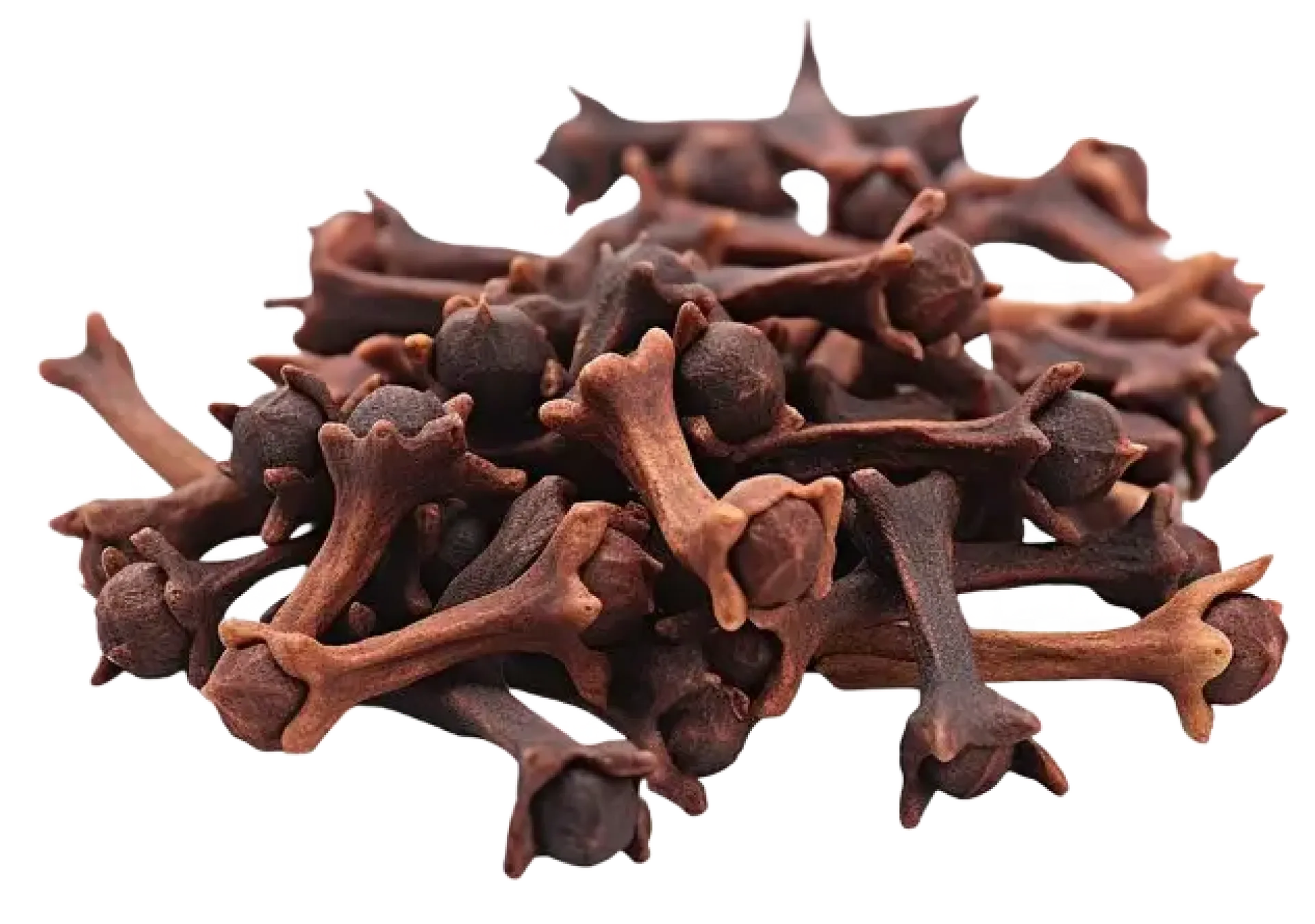 Goździki